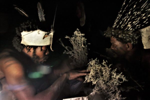 Traditional African Healing
