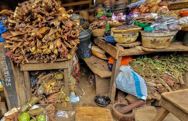 traditional african healing